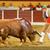 As imagens da corrida de Beja - Amadores de Cascais vencem troféu