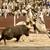 As imagens da corrida de São Cristovão