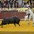 As imagens da abertura do Campo Pequeno 2019