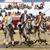 Corrida de Toiros da Feira do Melão em Salvaterra de Magos