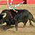 Corrida de Toiros em Garvão