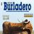 Revista Novo Burladero - N.º 254 - Janeiro de 2010