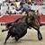 Feira do Cavalo de 2012 em Jerez de la Frontera