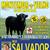 Corrida em Montemor-o-Velho, dia 8 de Setembro