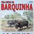 Corrida Anual e de Homenagem ao Emigrante em Vila Nova da Barquinha a 19 de Julho