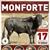 Dia 17 de Agosto em Monforte