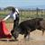 Academia de Toureio do Campo Pequeno tentou na Machoa e na Torre do Ferrador