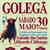 Cartaz da Corrida de 30 Maio na Golegã