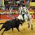 Corrida do Tomate em Vila Franca de Xira, a 1 de Maio 2016
