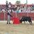 João D`Alva na final do VI Certame de ESCOLAS DE TAUROMAQUIA DA COMUNIDADE DE MADRID