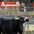 Revista Aplausos Semanario Taurino